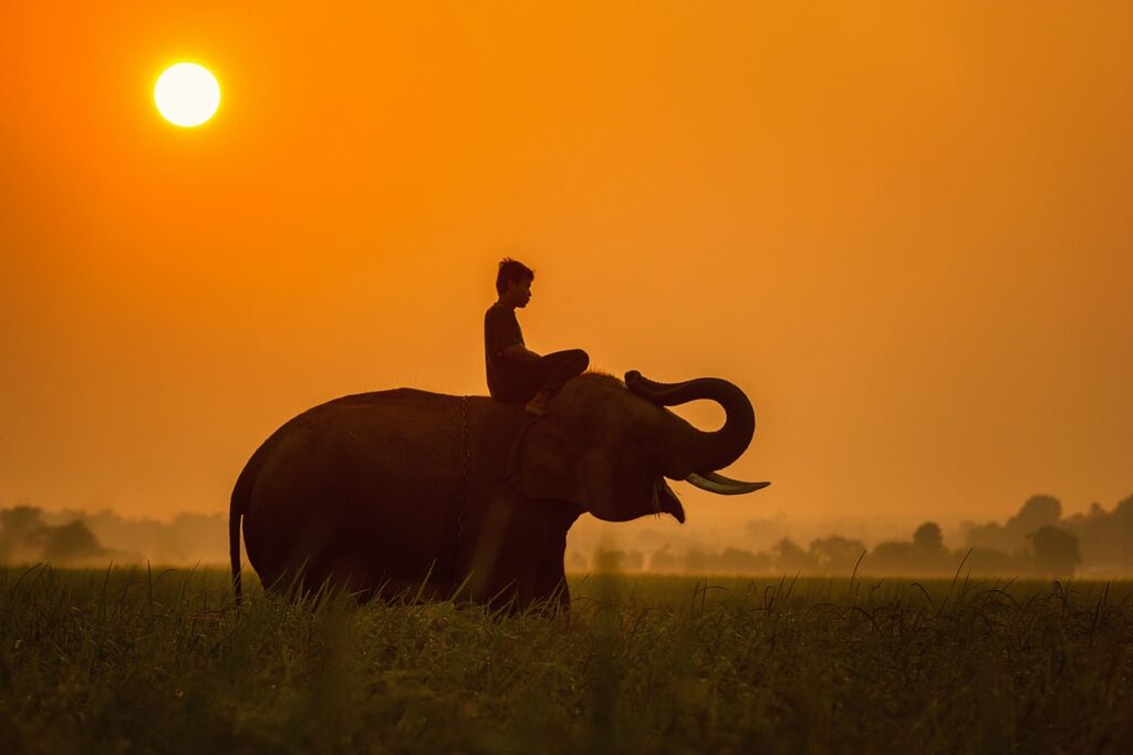 Tanzania is a wonderful country to visit.
